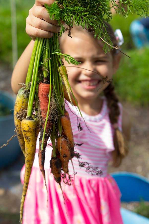 girl holding fresh picked carrots