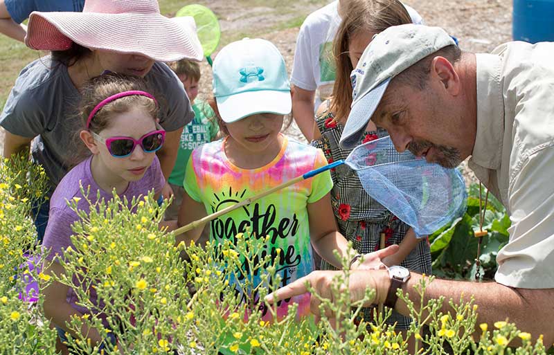 teaching kids gardening