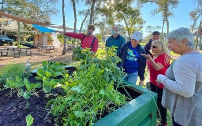 community gardeners looking at crops