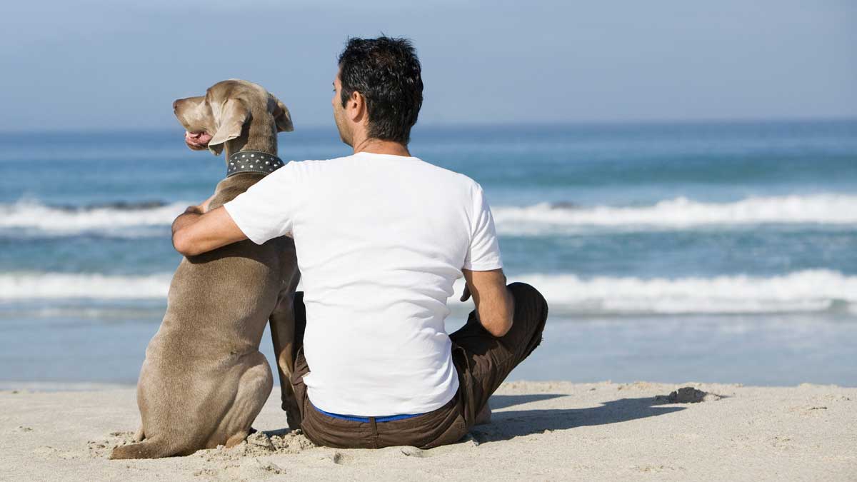 A man hugging his dog while sitting on a beach.