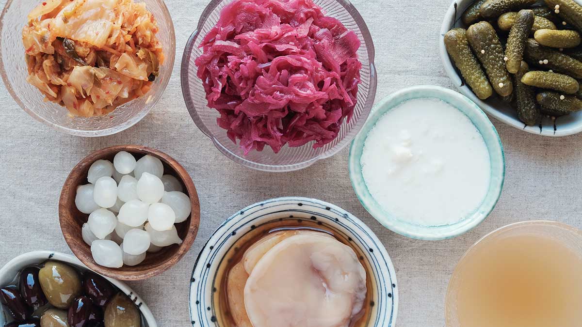 variety of fermented probiotic foods for gut health