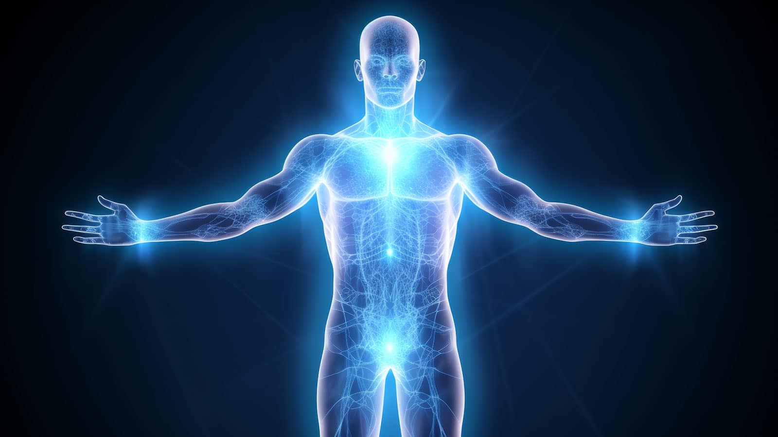 A glowing blue outline of a human figure stands against a dark background, with arms extended sideways. The image, a musing on the Body Divine, highlights internal body systems, resembling a digital representation.